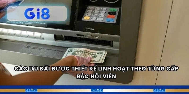 Các ưu đãi được thiết kế linh hoạt theo từng cấp bậc hội viên